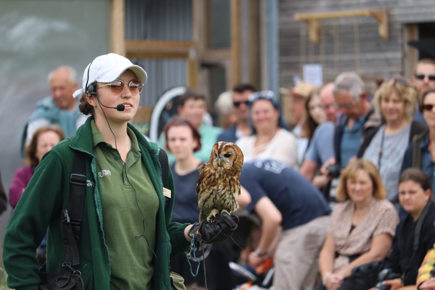 Beyonk British Bird Of Prey Day 2024   Ah155iduvowu9jzk 