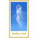 Profile image for Melbury Vale Vineyard