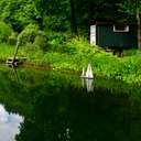 Profile image for Nant-y-Bedd Garden