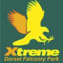 Profile image for Dorset Falconry Park