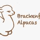 Profile image for Brackenfield Alpacas