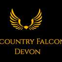 Profile image for Westcountry Falconry