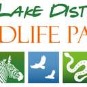 Profile image for Lake District Wildlife Park