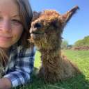 Profile image for Slowhayes Alpacas
