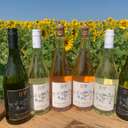 Profile image for Burn Valley Vineyard