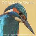 Profile image for GG Wildlife Experiences Ltd
