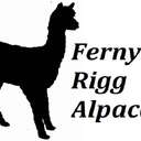 Profile image for Ferny Rigg Alpacas